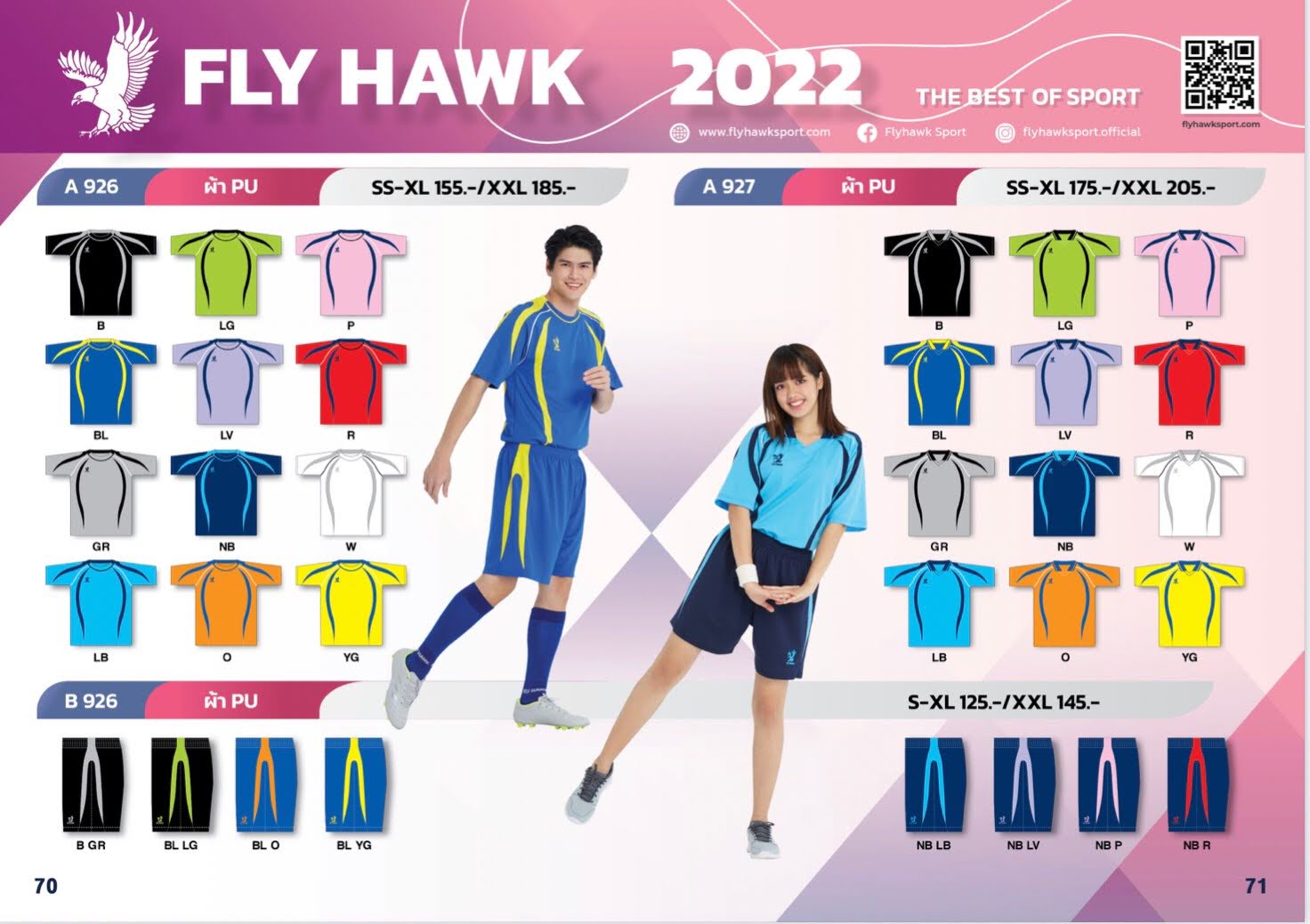 Fly Hawk