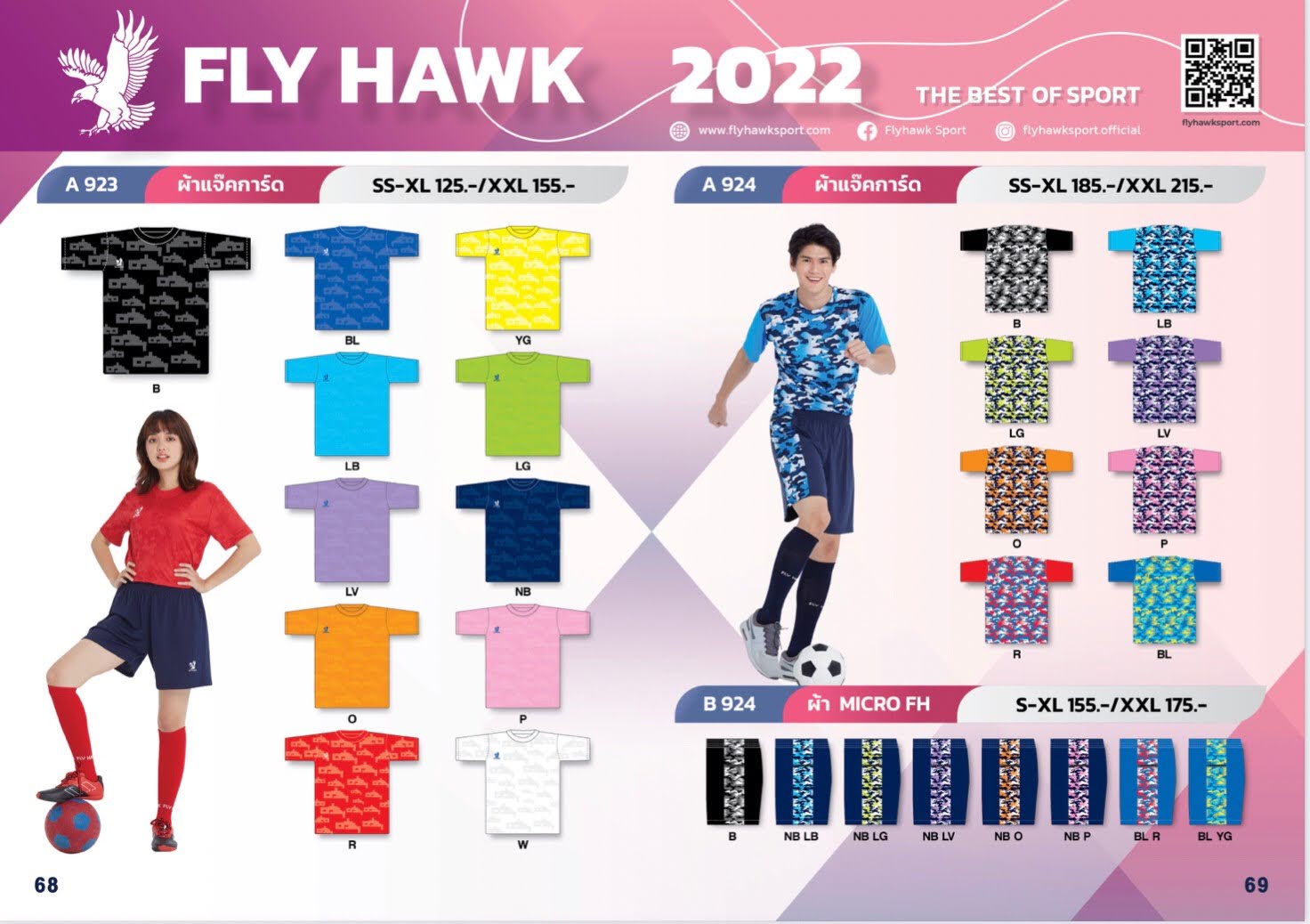 Fly Hawk