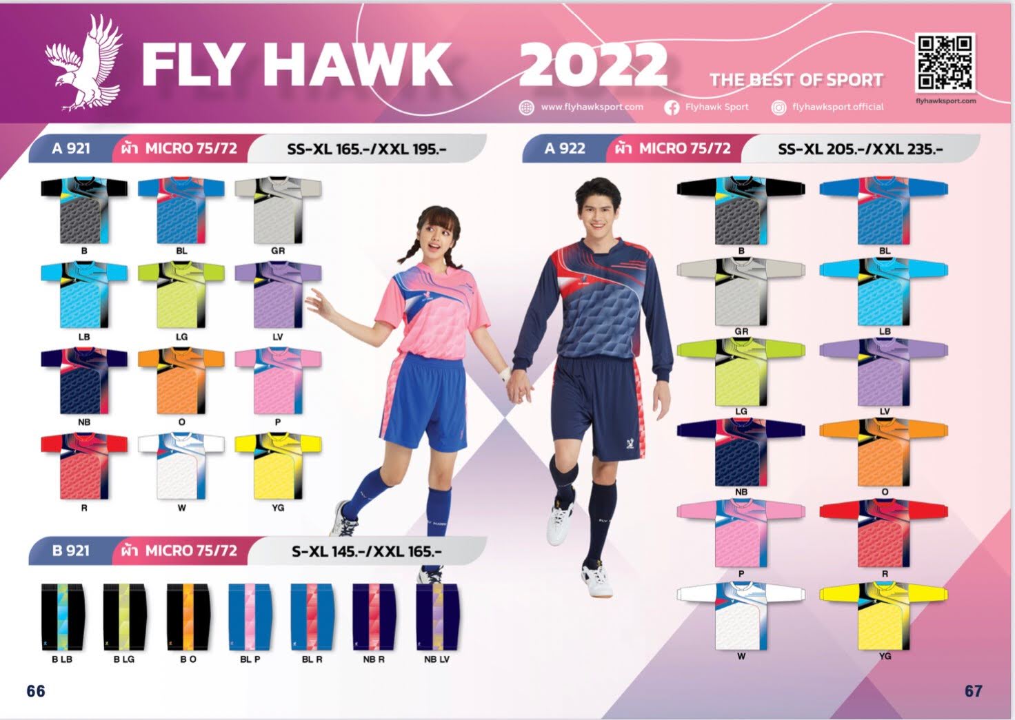 Fly Hawk