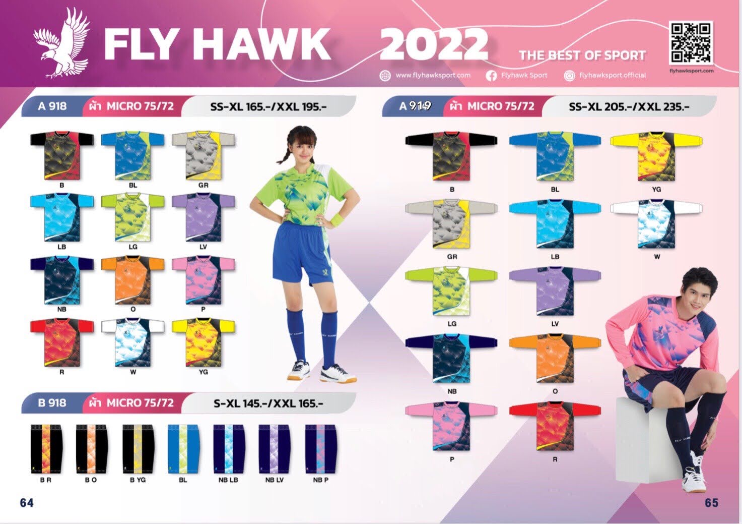Fly Hawk