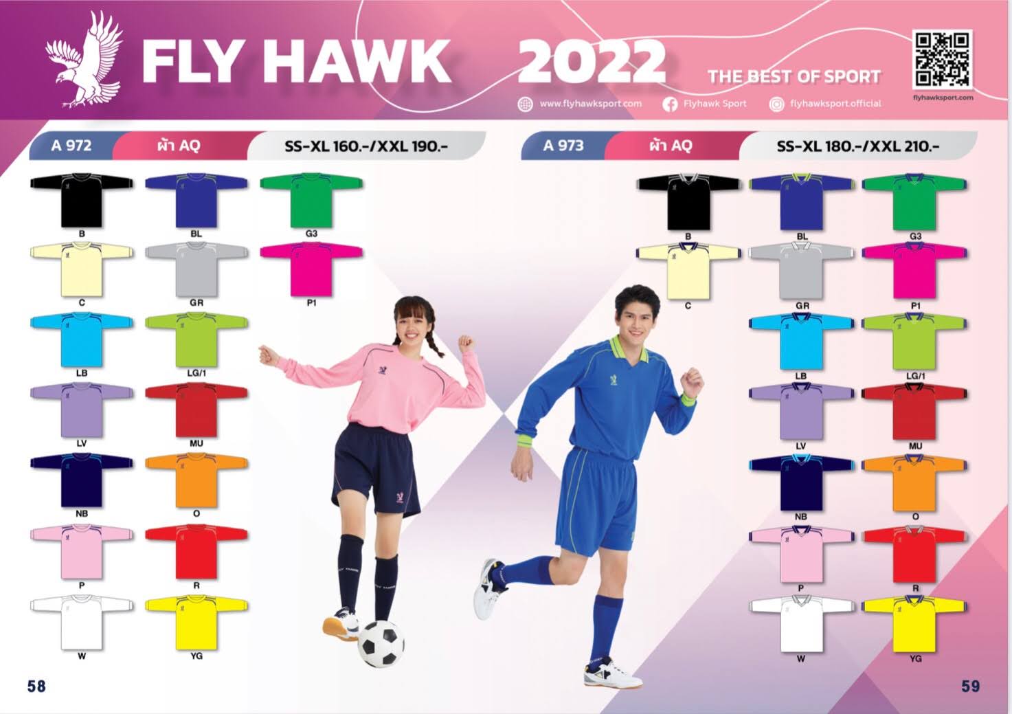 Fly Hawk