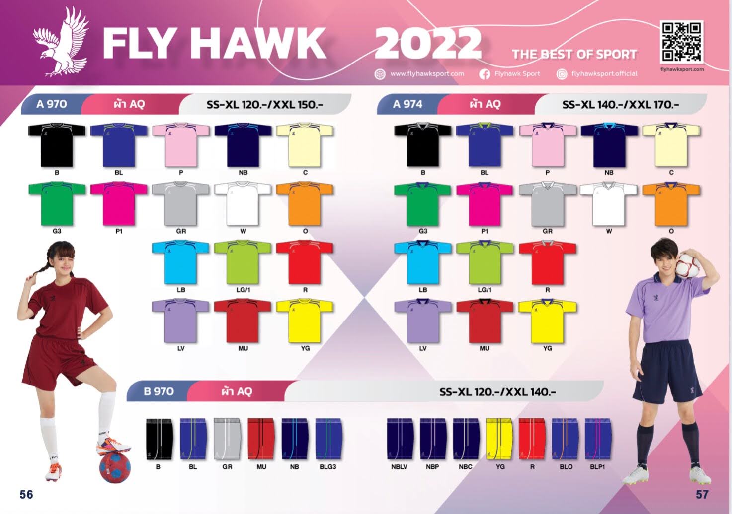 Fly Hawk