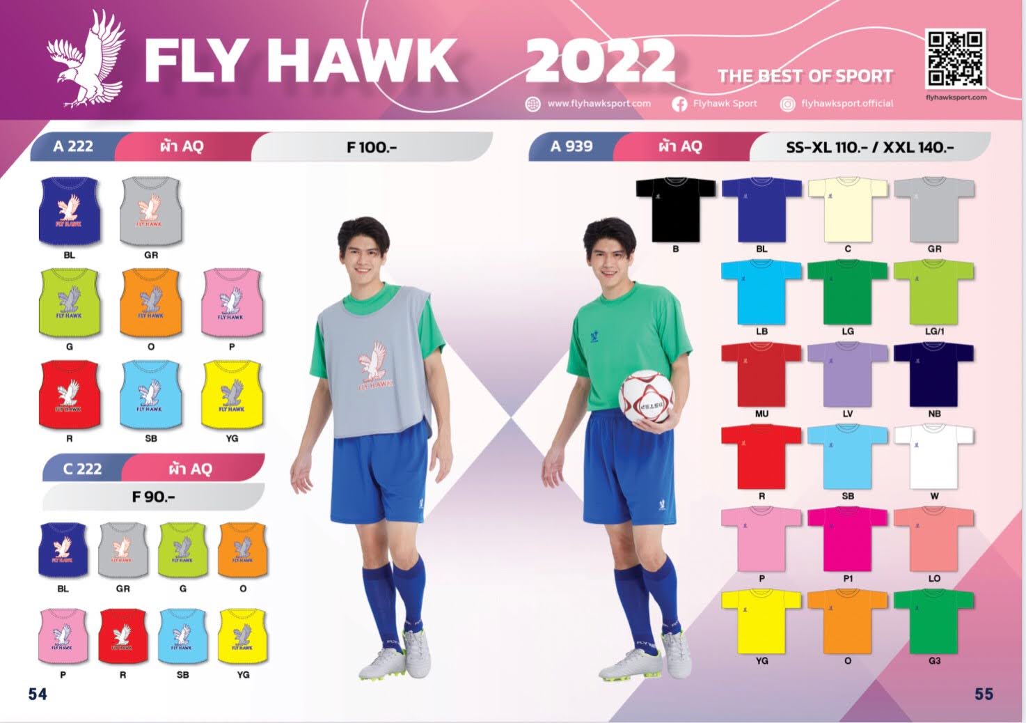 Fly Hawk
