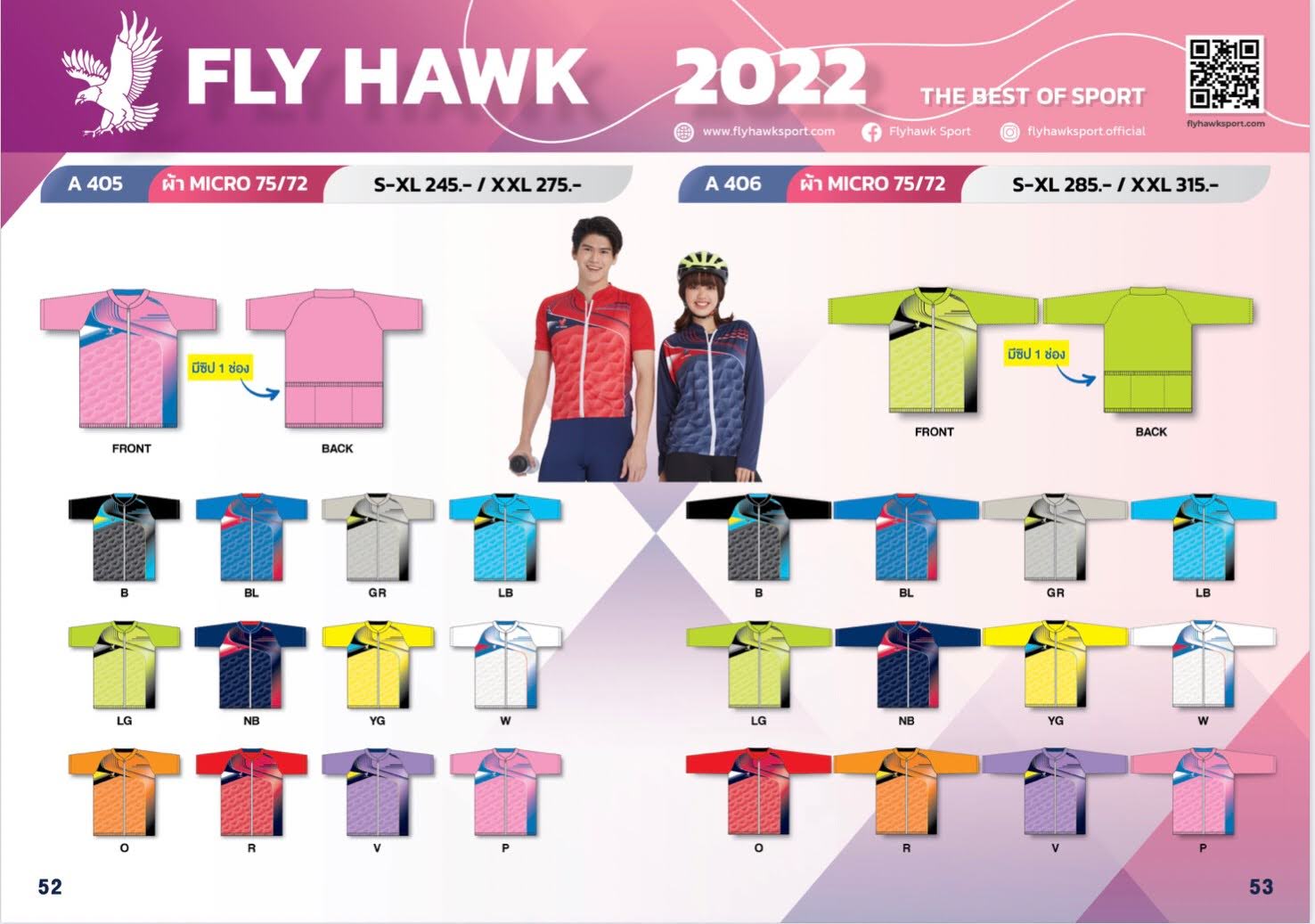 Fly Hawk