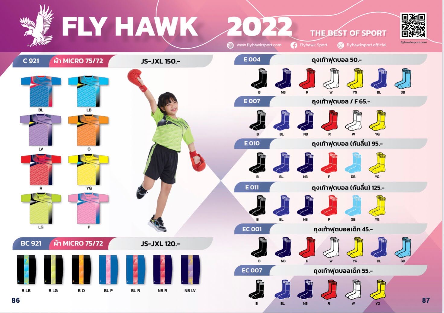 Fly Hawk