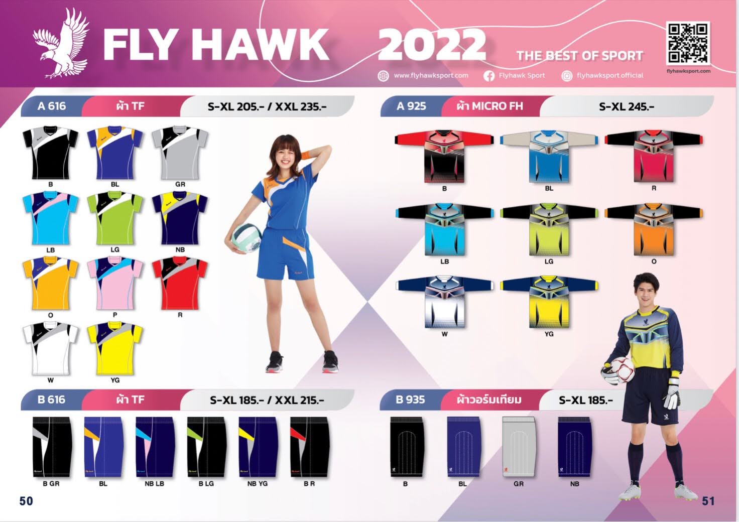 Fly Hawk