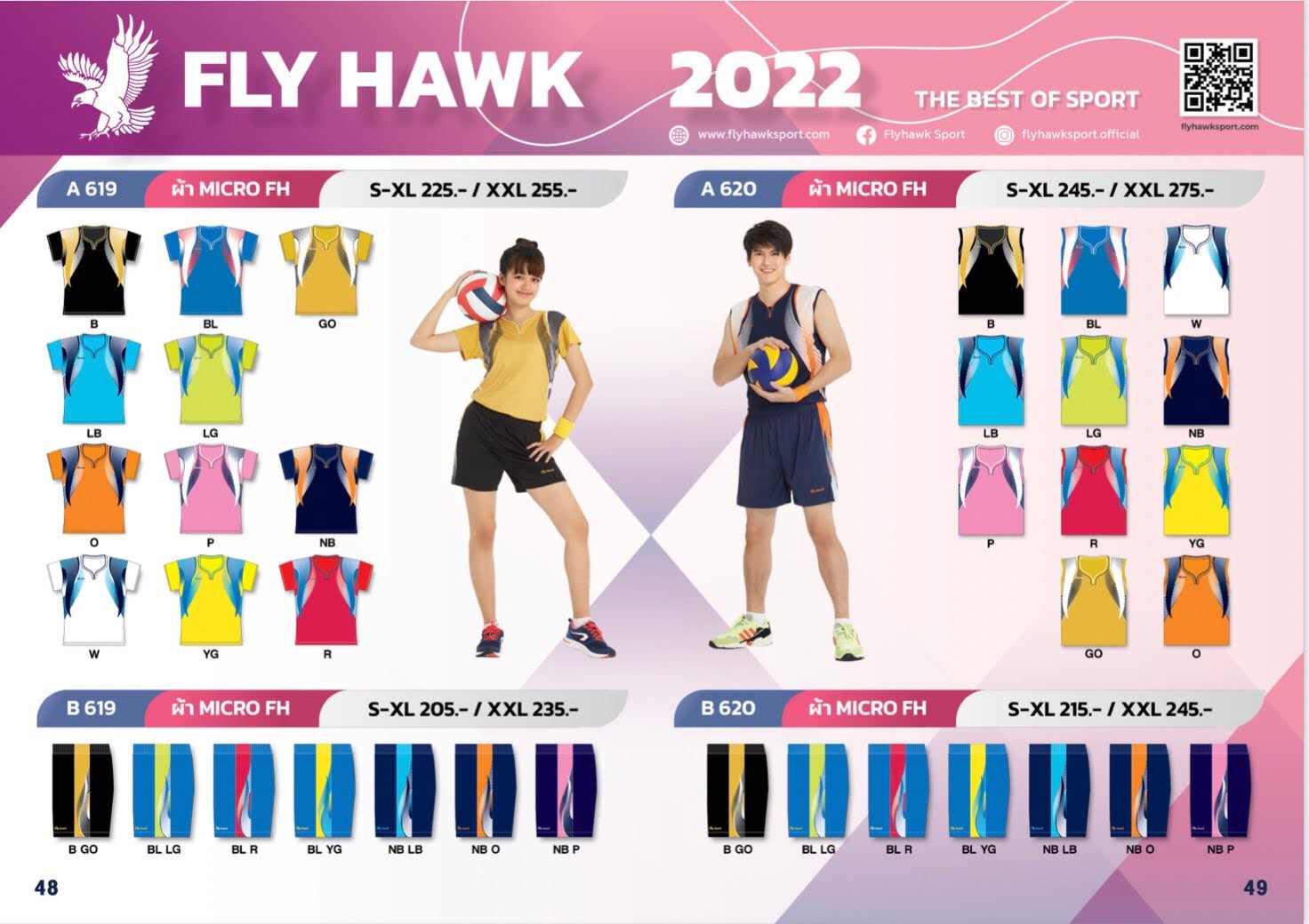 Fly Hawk