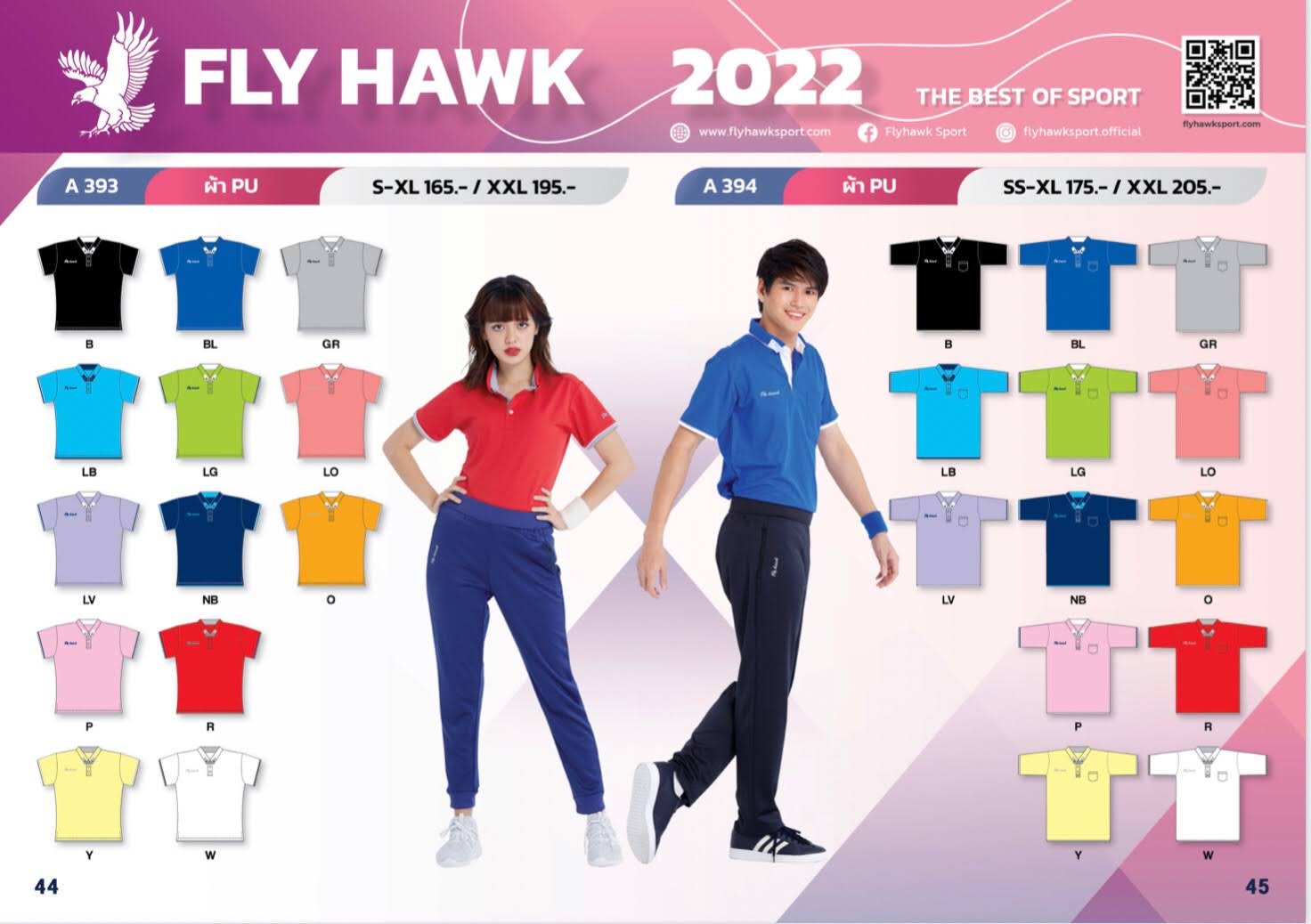 Fly Hawk