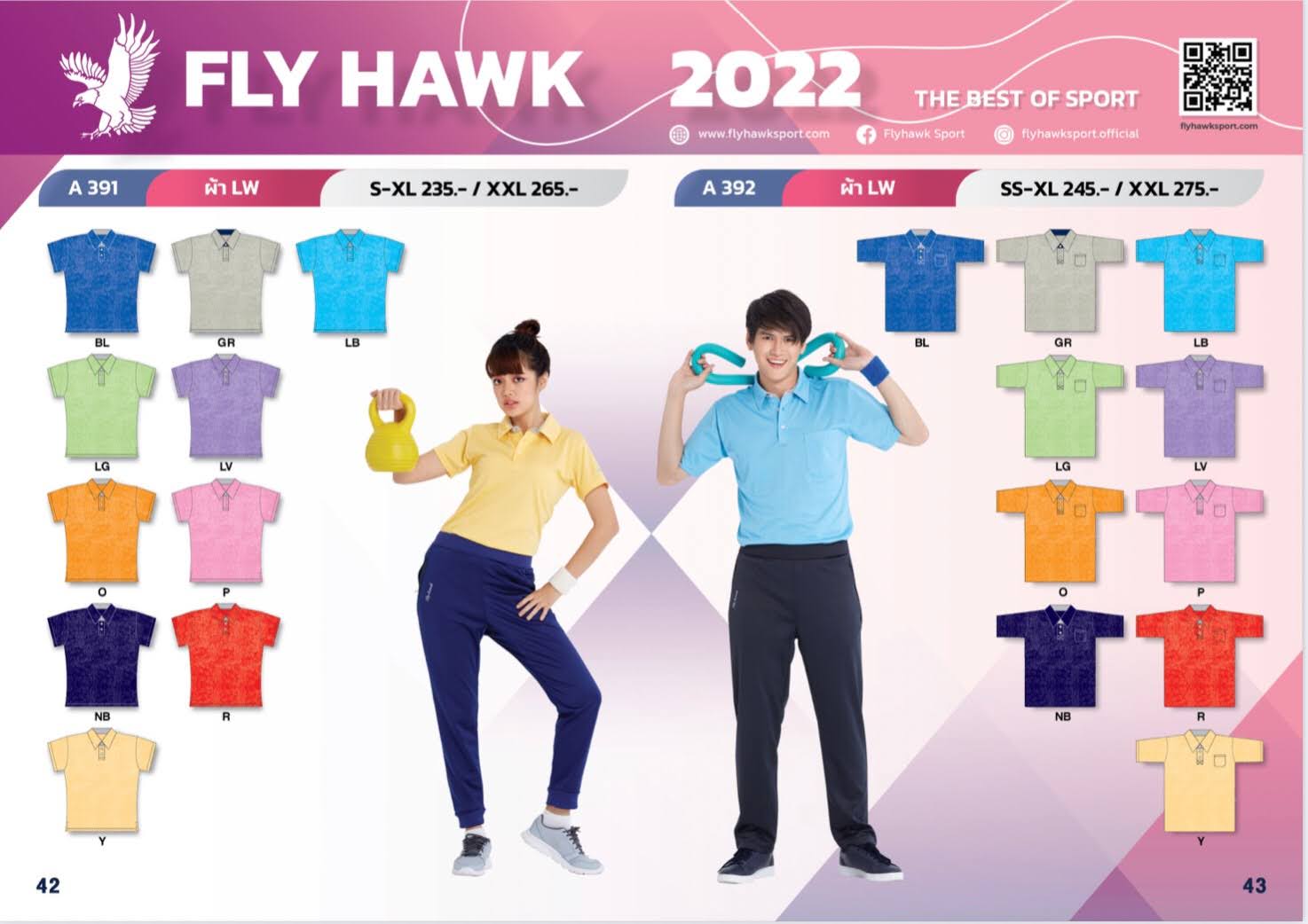 Fly Hawk
