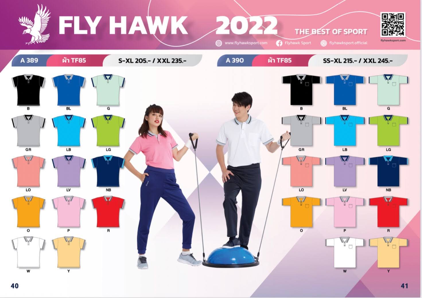 Fly Hawk