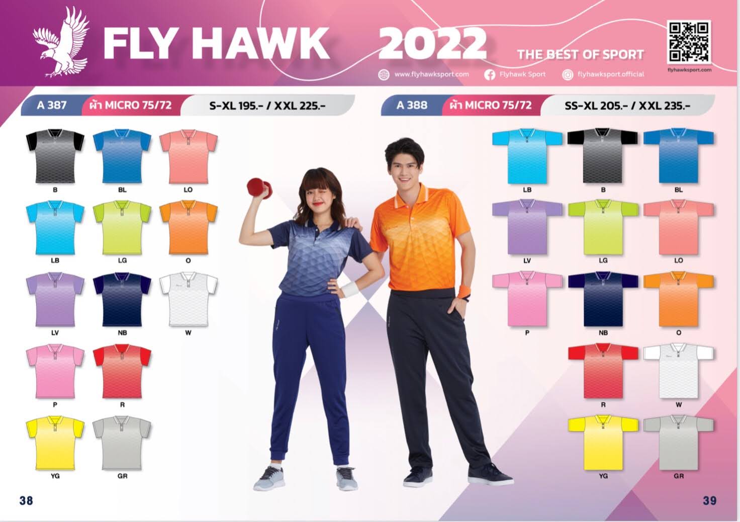 Fly Hawk