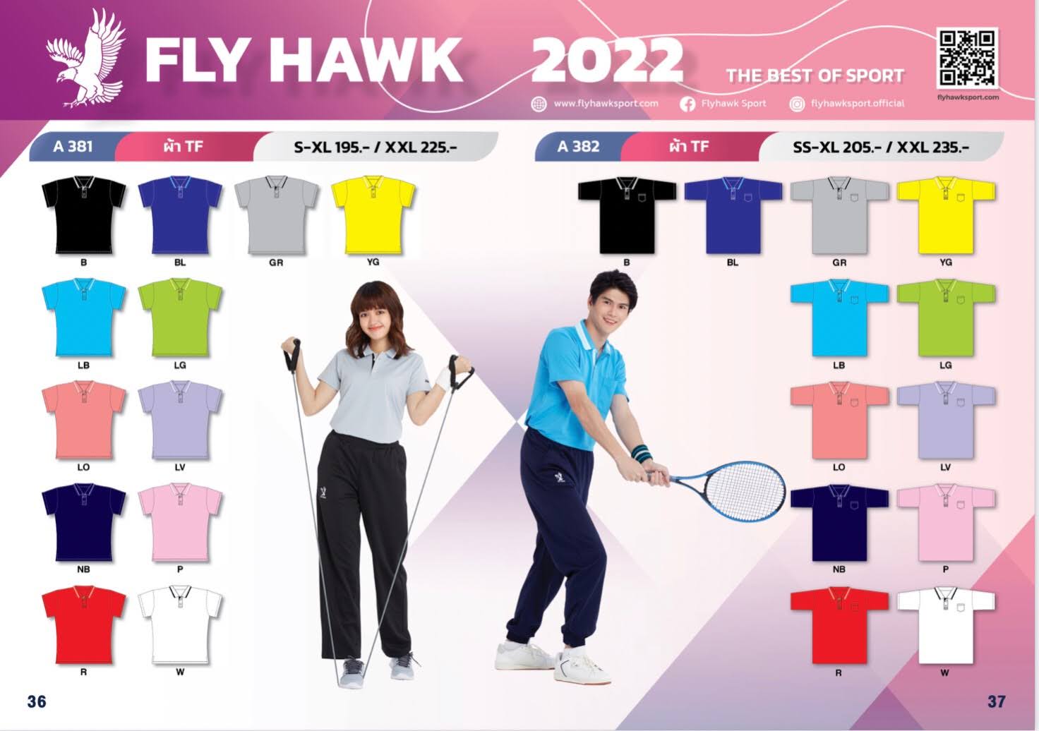 Fly Hawk