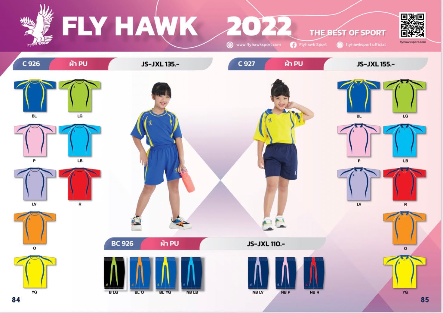 Fly Hawk