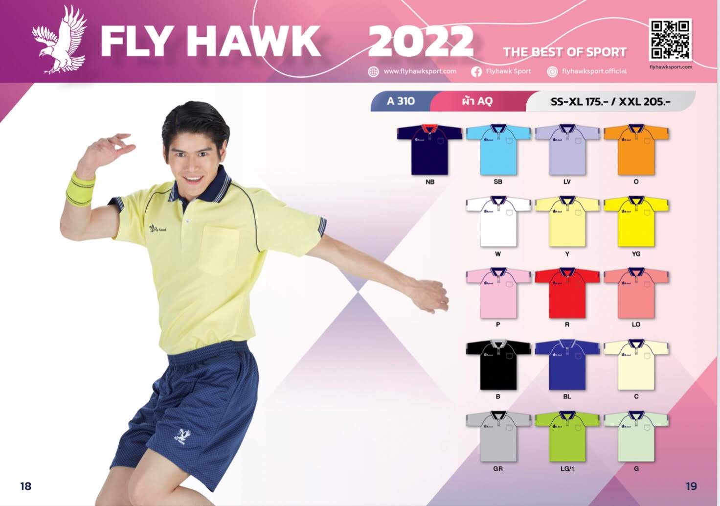Fly Hawk