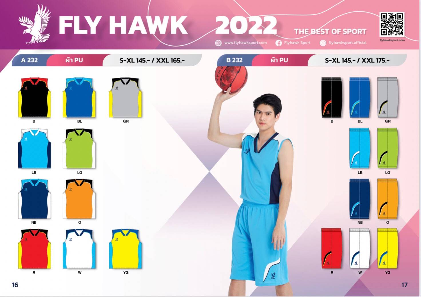 Fly Hawk
