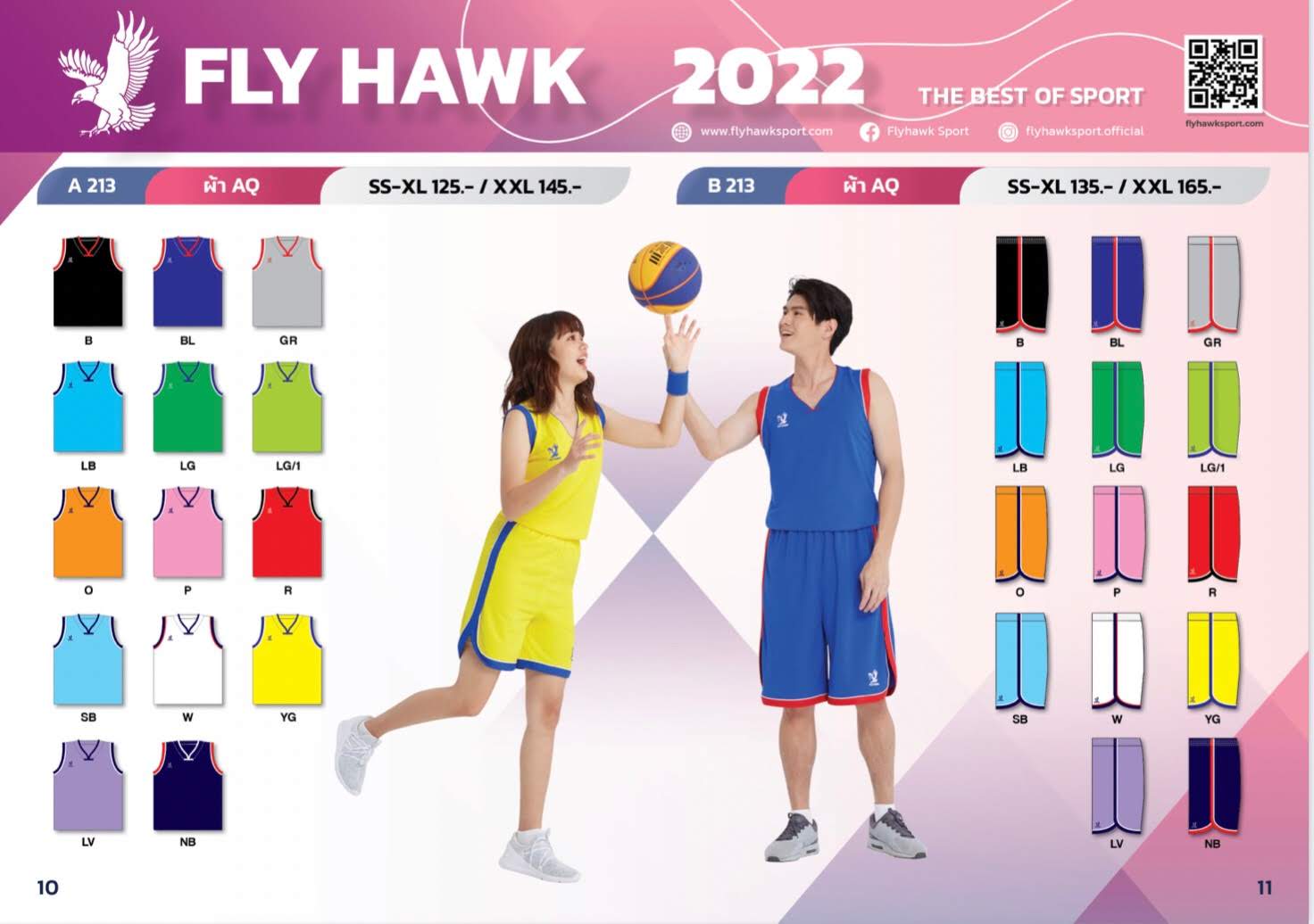 Fly Hawk