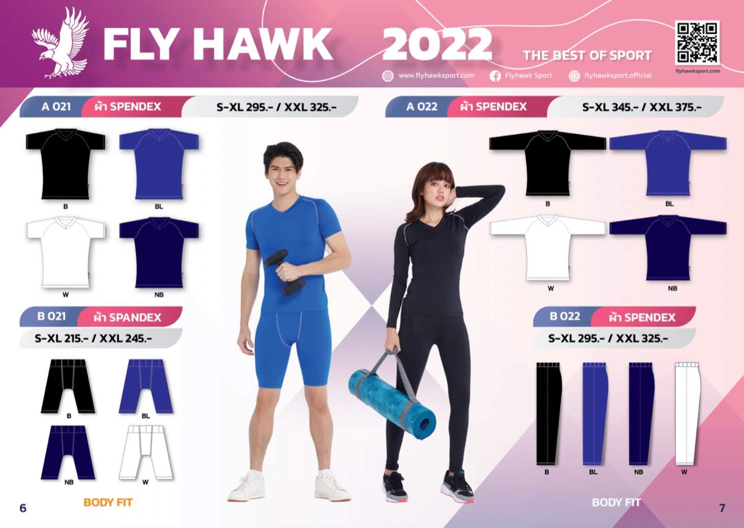 Fly Hawk