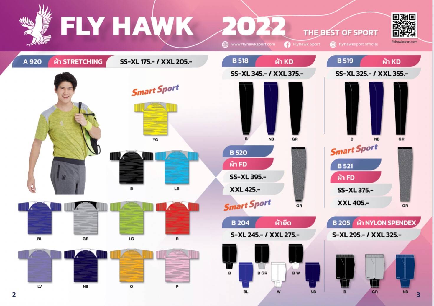 Fly Hawk