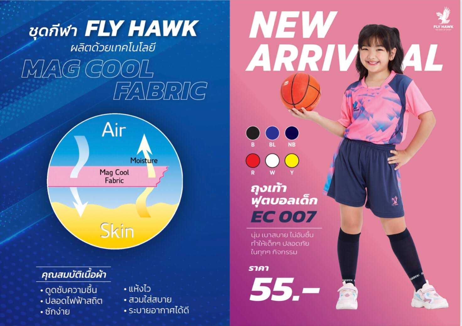 Fly Hawk