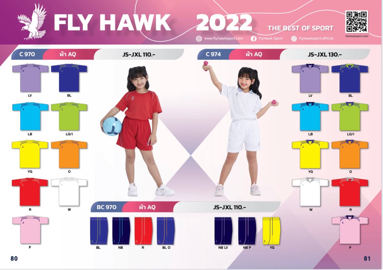Fly Hawk