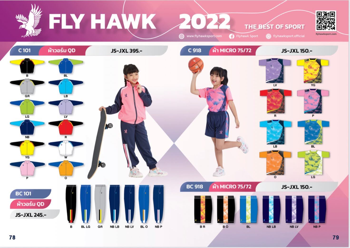 Fly Hawk