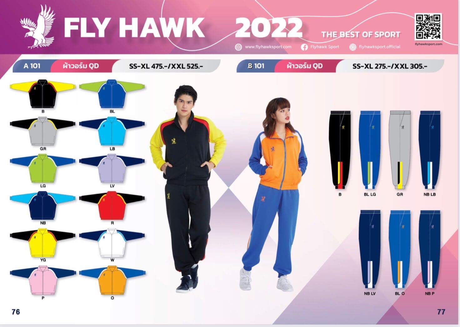 Fly Hawk