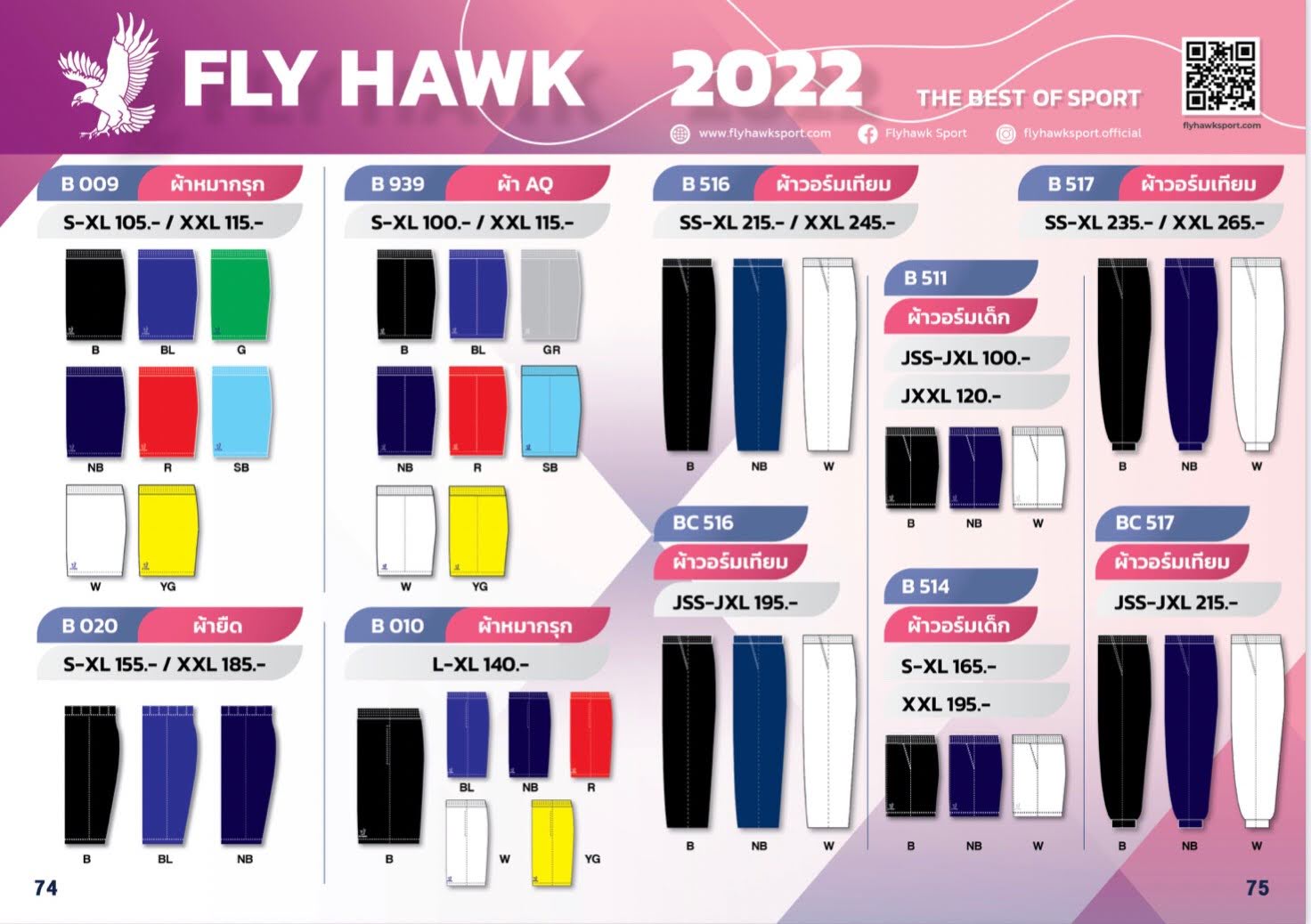 Fly Hawk