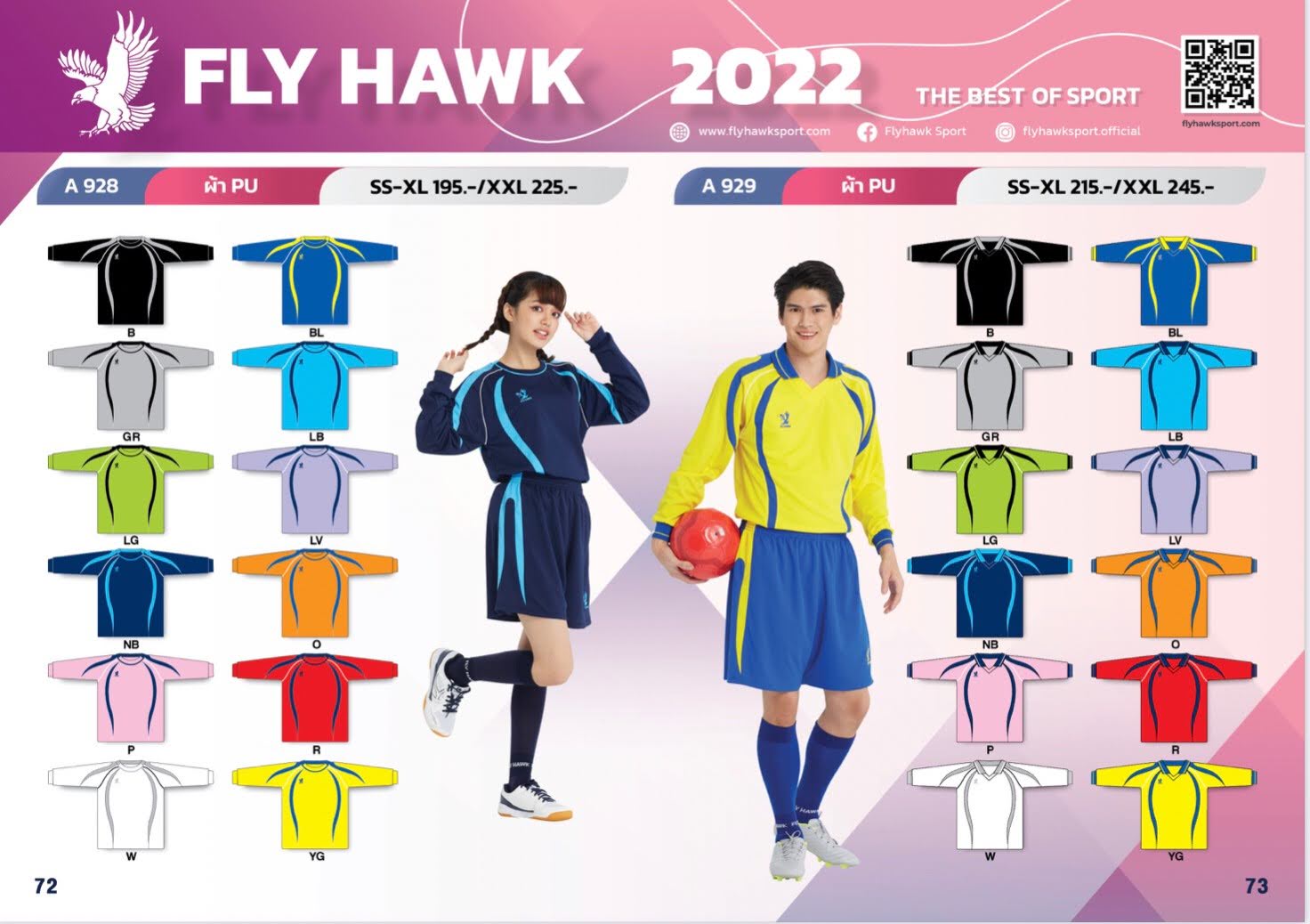 Fly Hawk
